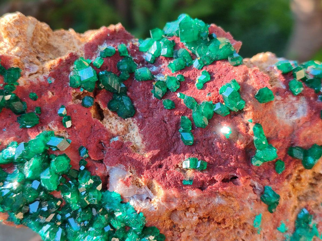 Natural Large Dioptase on Dolomite Specimen x 1 From Likasi, Congo - Toprock Gemstones and Minerals 