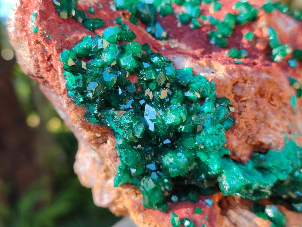 Natural Large Dioptase on Dolomite Specimen x 1 From Likasi, Congo - Toprock Gemstones and Minerals 