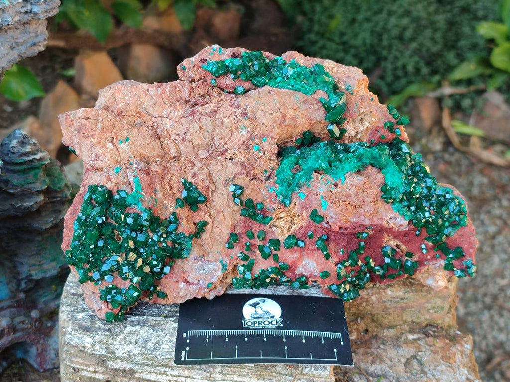 Natural Large Dioptase on Dolomite Specimen x 1 From Likasi, Congo - Toprock Gemstones and Minerals 