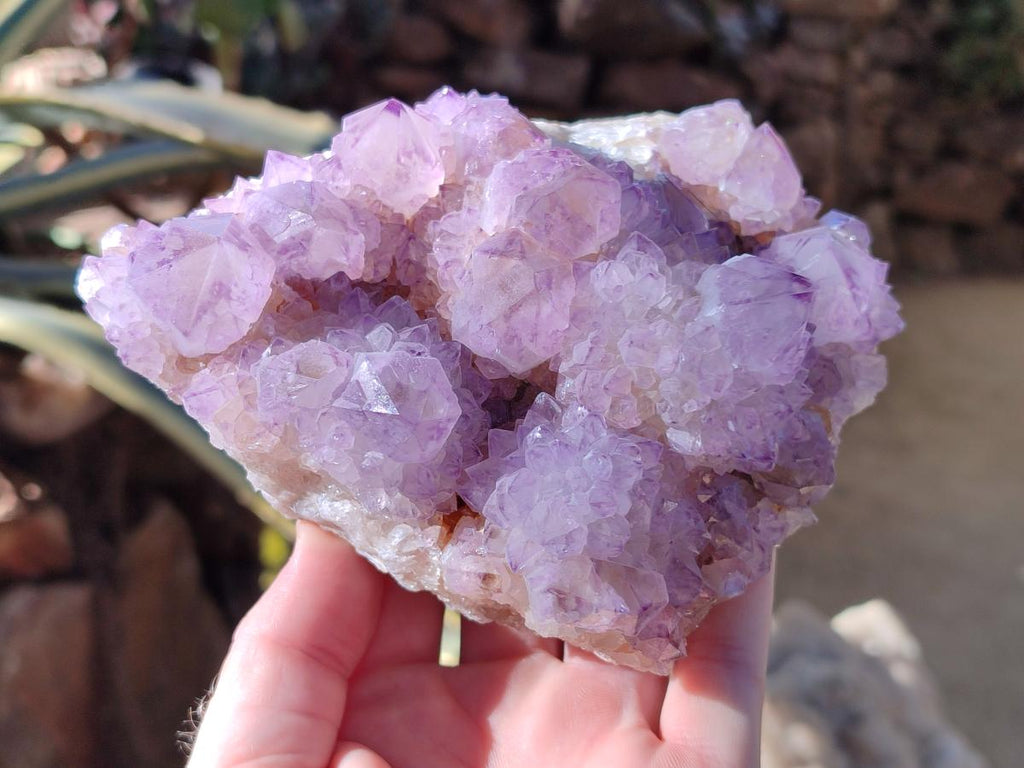 Natural Sunburst Amethyst Spirit Clusters x 2 From Boekenhouthoek, South Africa - Toprock Gemstones and Minerals 