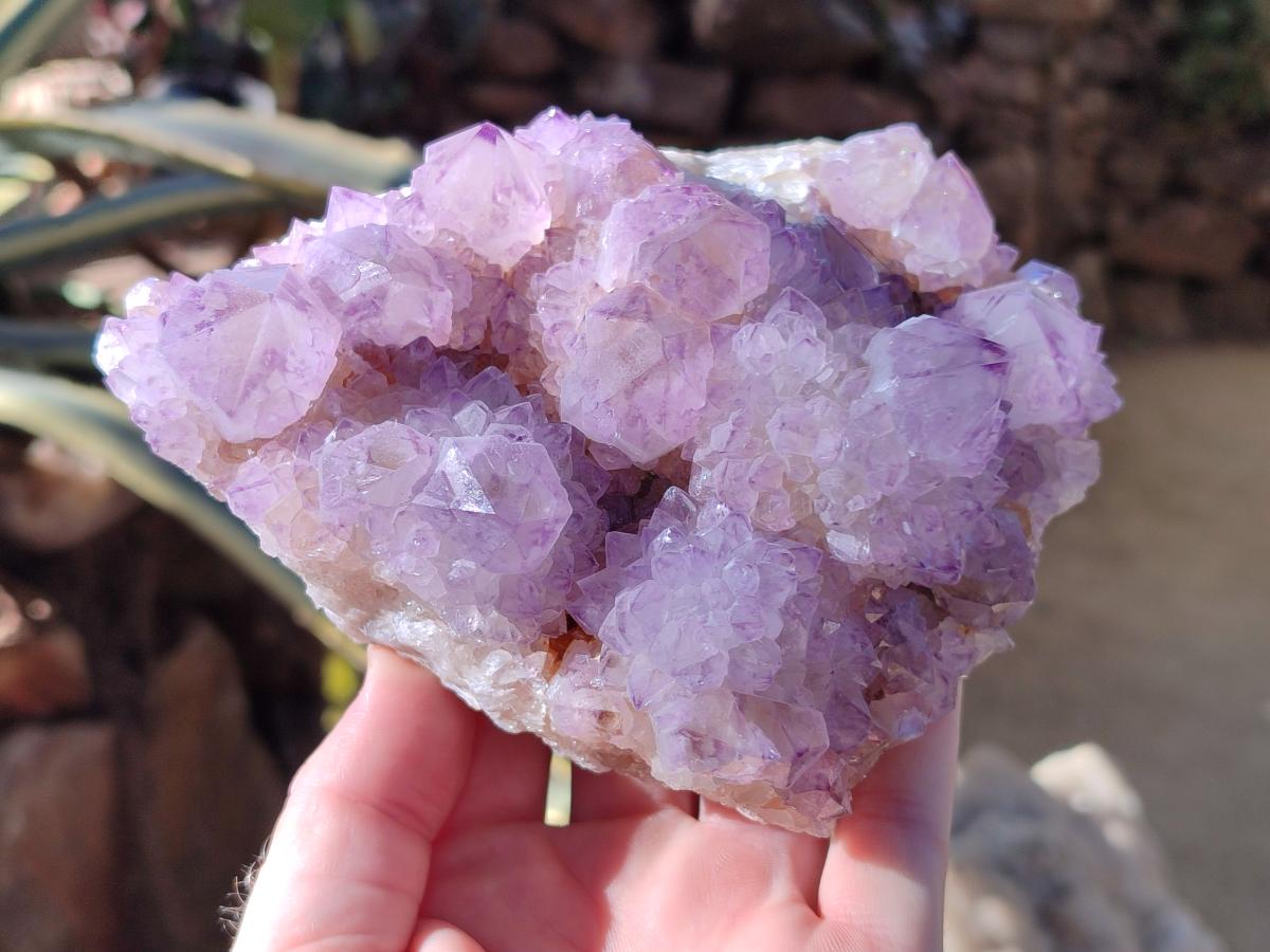 Natural Sunburst Amethyst Spirit Clusters x 2 From Boekenhouthoek, South Africa - Toprock Gemstones and Minerals 