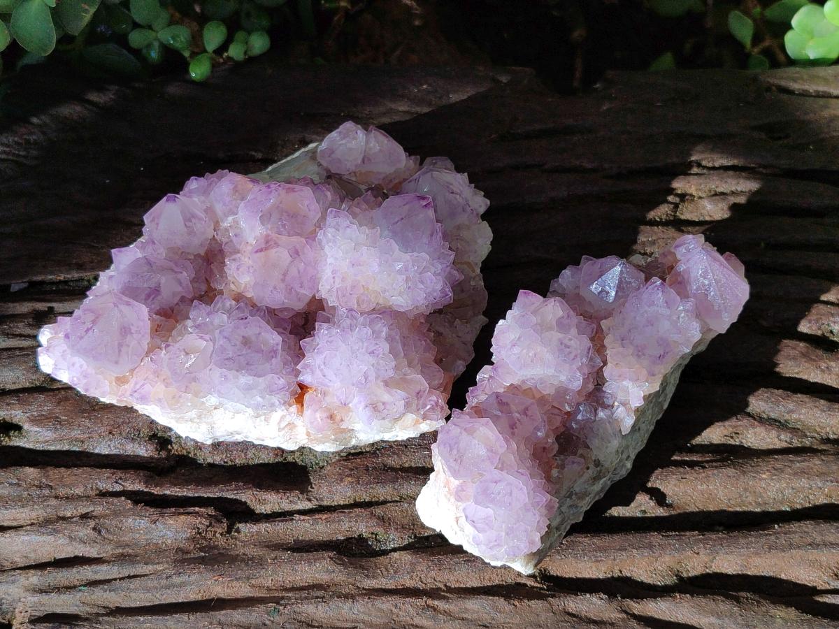 Natural Sunburst Amethyst Spirit Clusters x 2 From Boekenhouthoek, South Africa - Toprock Gemstones and Minerals 
