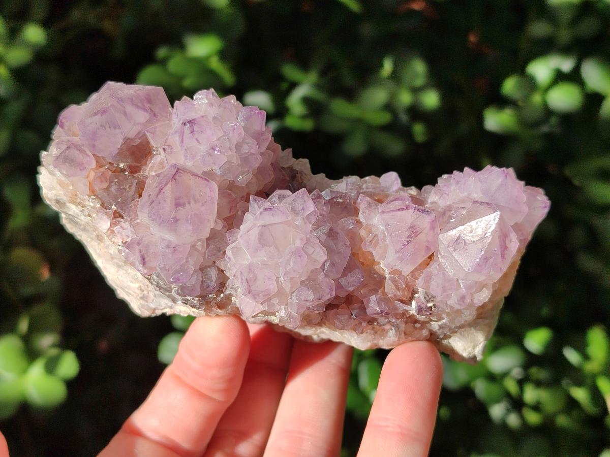 Natural Sunburst Amethyst Spirit Clusters x 2 From Boekenhouthoek, South Africa - Toprock Gemstones and Minerals 