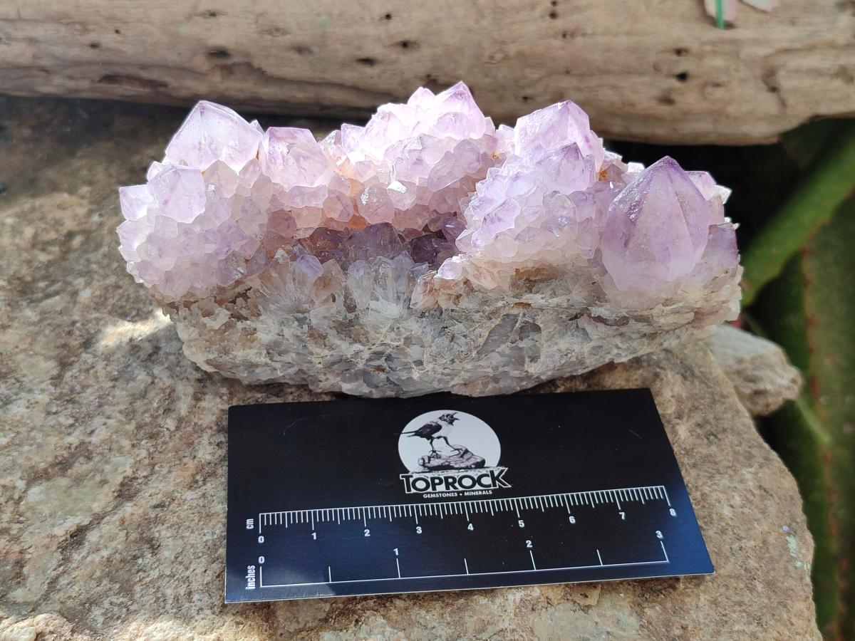 Natural Sunburst Amethyst Spirit Clusters x 2 From Boekenhouthoek, South Africa - Toprock Gemstones and Minerals 