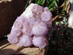 Natural Sunburst Amethyst Spirit Clusters x 2 From Boekenhouthoek, South Africa - Toprock Gemstones and Minerals 