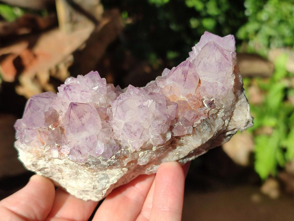 Natural Sunburst Amethyst Spirit Clusters x 2 From Boekenhouthoek, South Africa - Toprock Gemstones and Minerals 