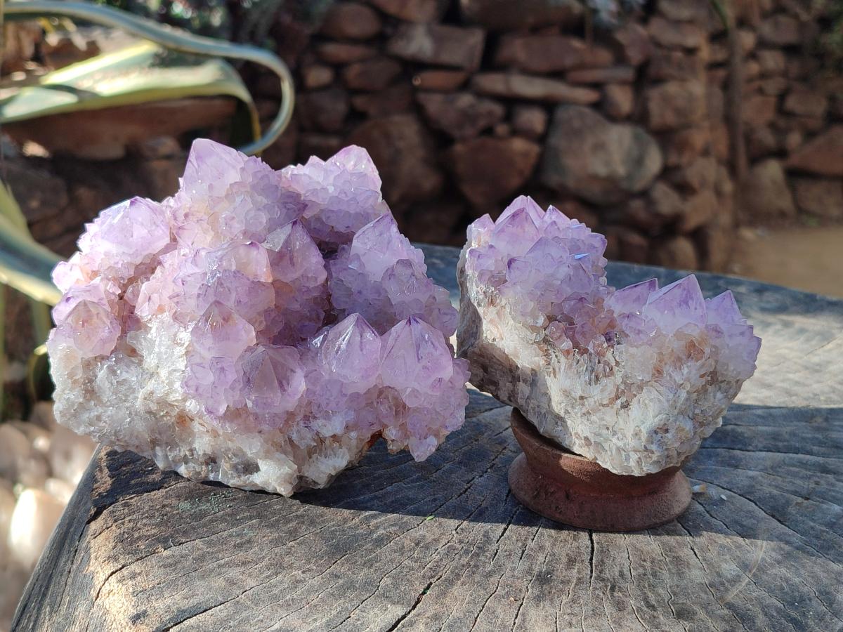 Natural Sunburst Amethyst Spirit Clusters x 2 From Boekenhouthoek, South Africa - Toprock Gemstones and Minerals 