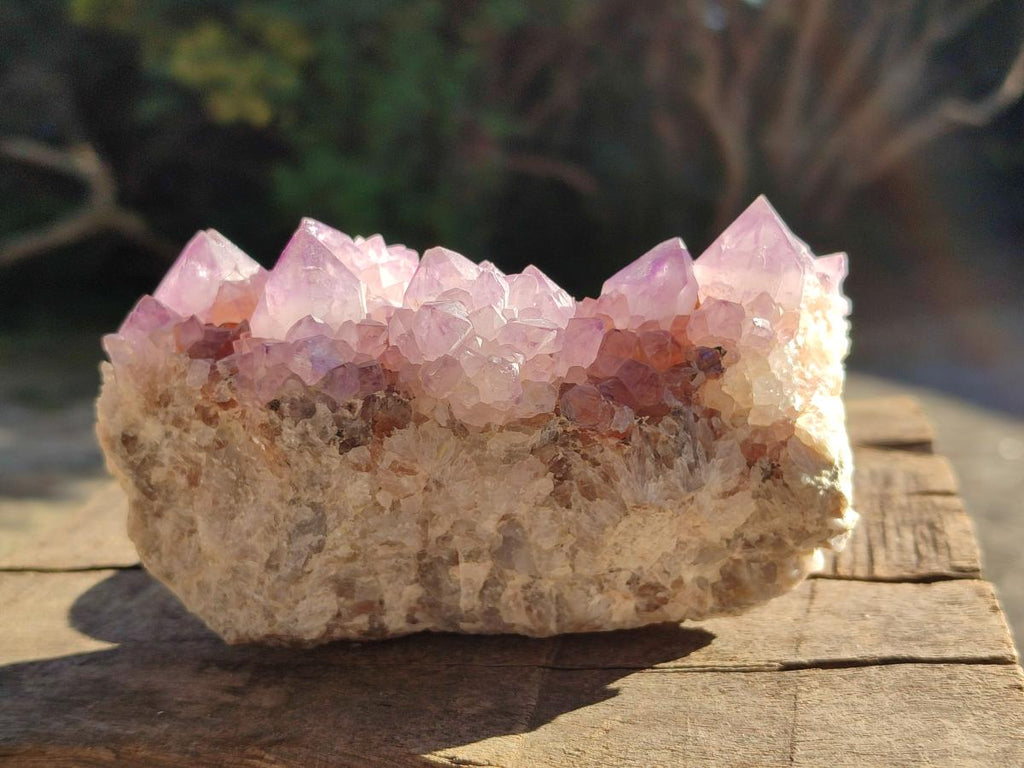 Natural Sunburst Amethyst Spirit Clusters x 2 From Boekenhouthoek, South Africa - Toprock Gemstones and Minerals 