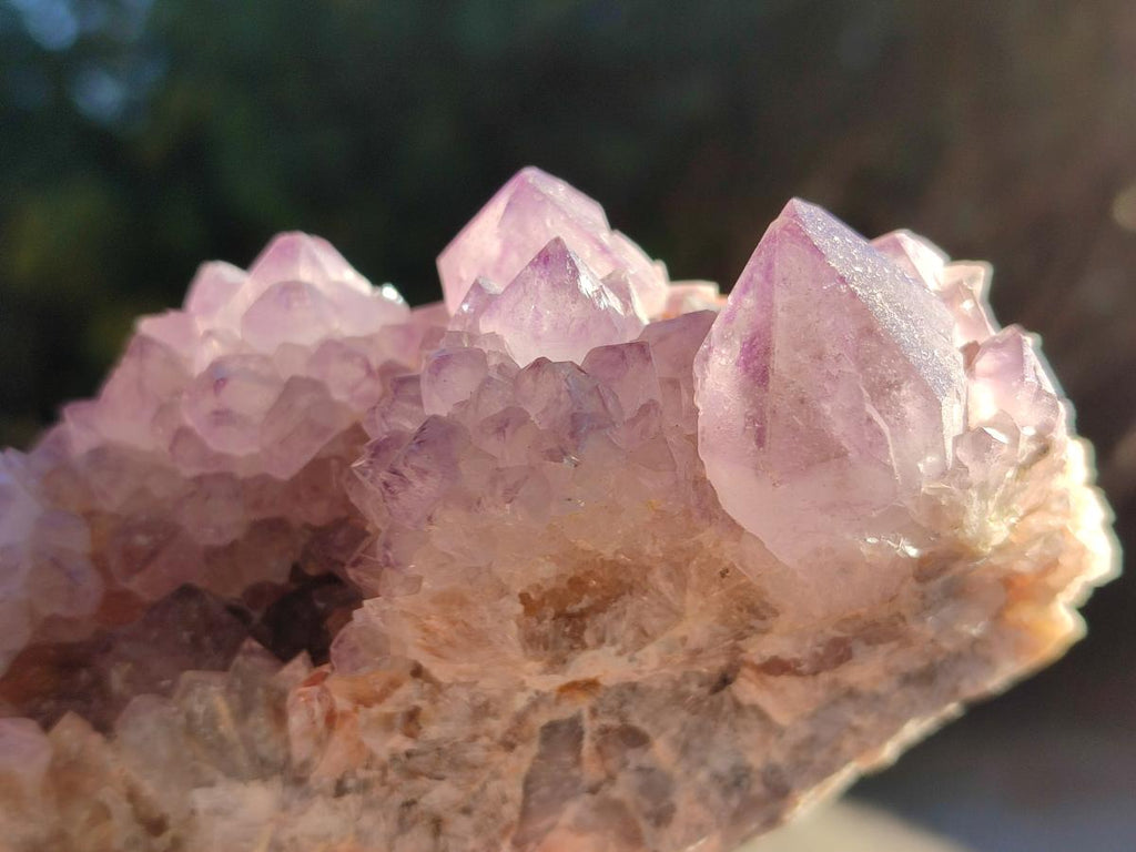 Natural Sunburst Amethyst Spirit Clusters x 2 From Boekenhouthoek, South Africa - Toprock Gemstones and Minerals 