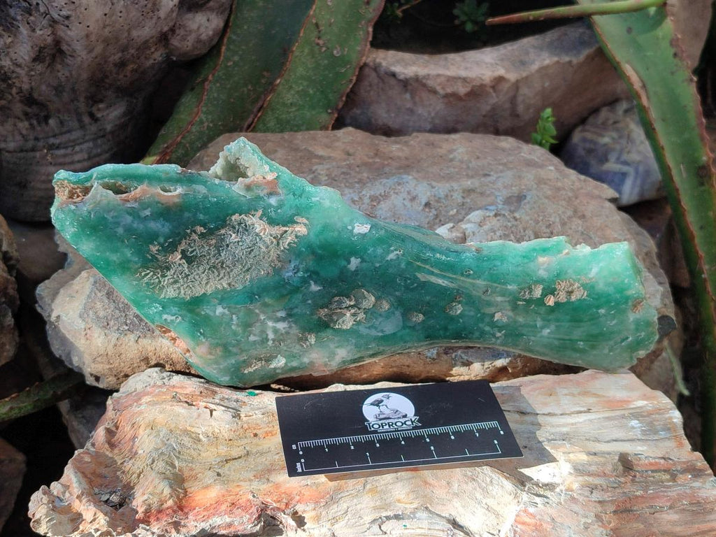 Polished On One Side Mtorolite Chrysoprase Plates x 2 From Mutorashanga, Zimbabwe - Toprock Gemstones and Minerals 