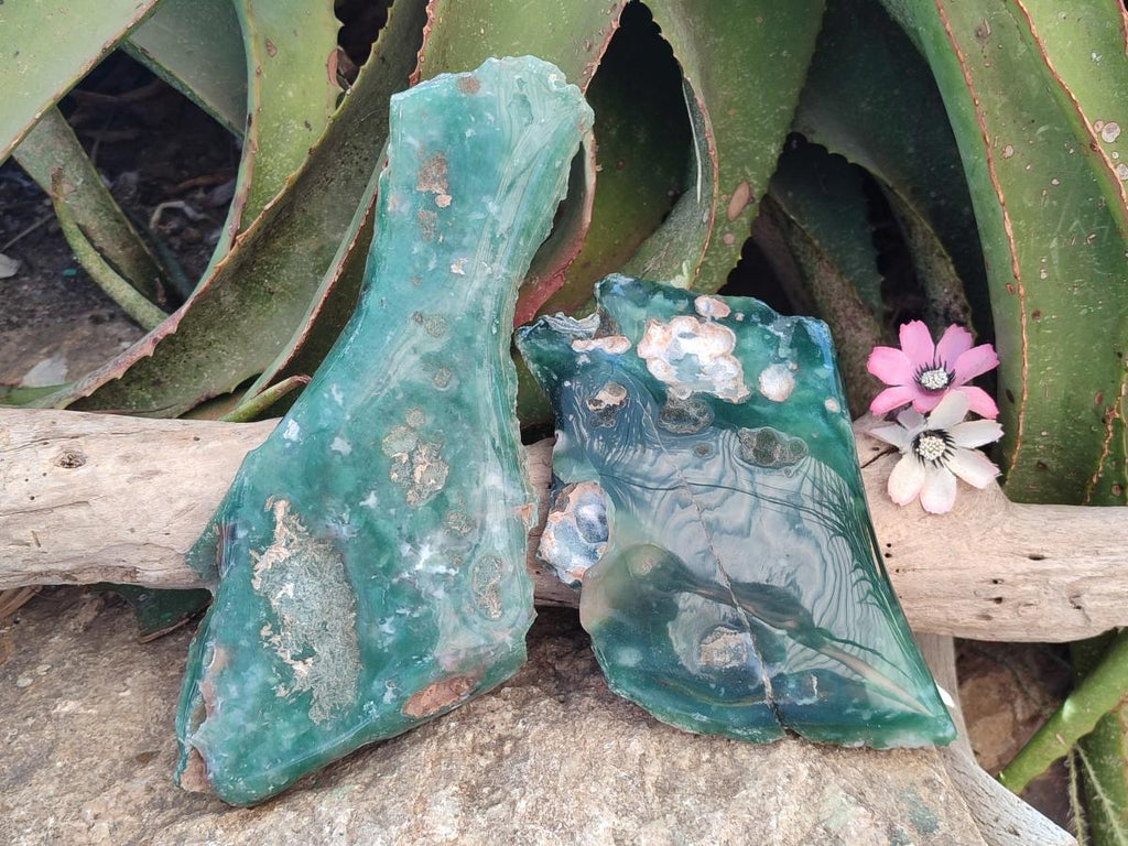 Polished On One Side Mtorolite Chrysoprase Plates x 2 From Mutorashanga, Zimbabwe - Toprock Gemstones and Minerals 