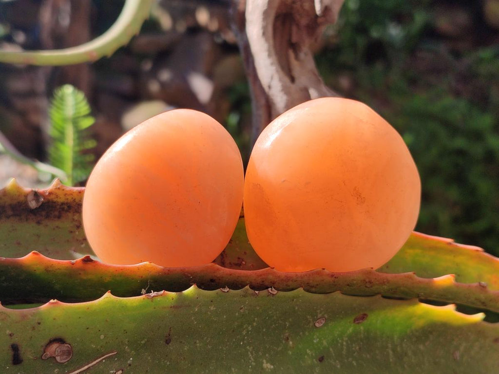 Polished Orange Twist Calcite Galets x 25 From Maevantanana, Madagascar - Toprock Gemstones and Minerals 