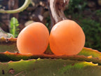 Polished Orange Twist Calcite Galets x 25 From Maevantanana, Madagascar - Toprock Gemstones and Minerals 