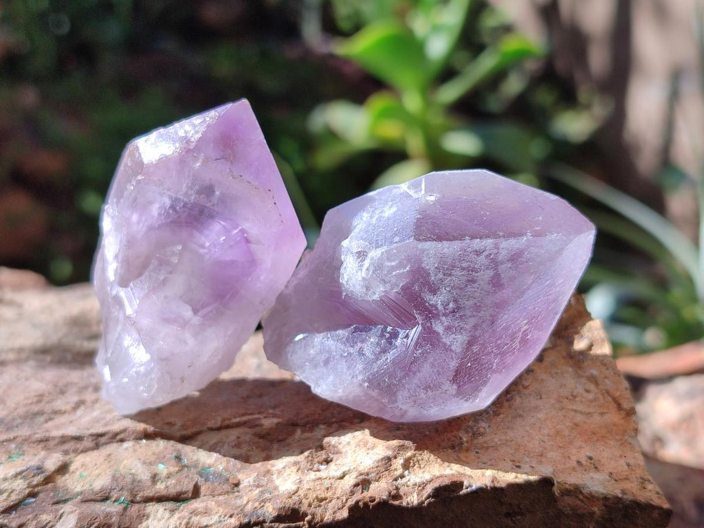 Natural Jacaranda Amethyst Single Crystals x 24 From Mumbwa, Zambia - Toprock Gemstones and Minerals 