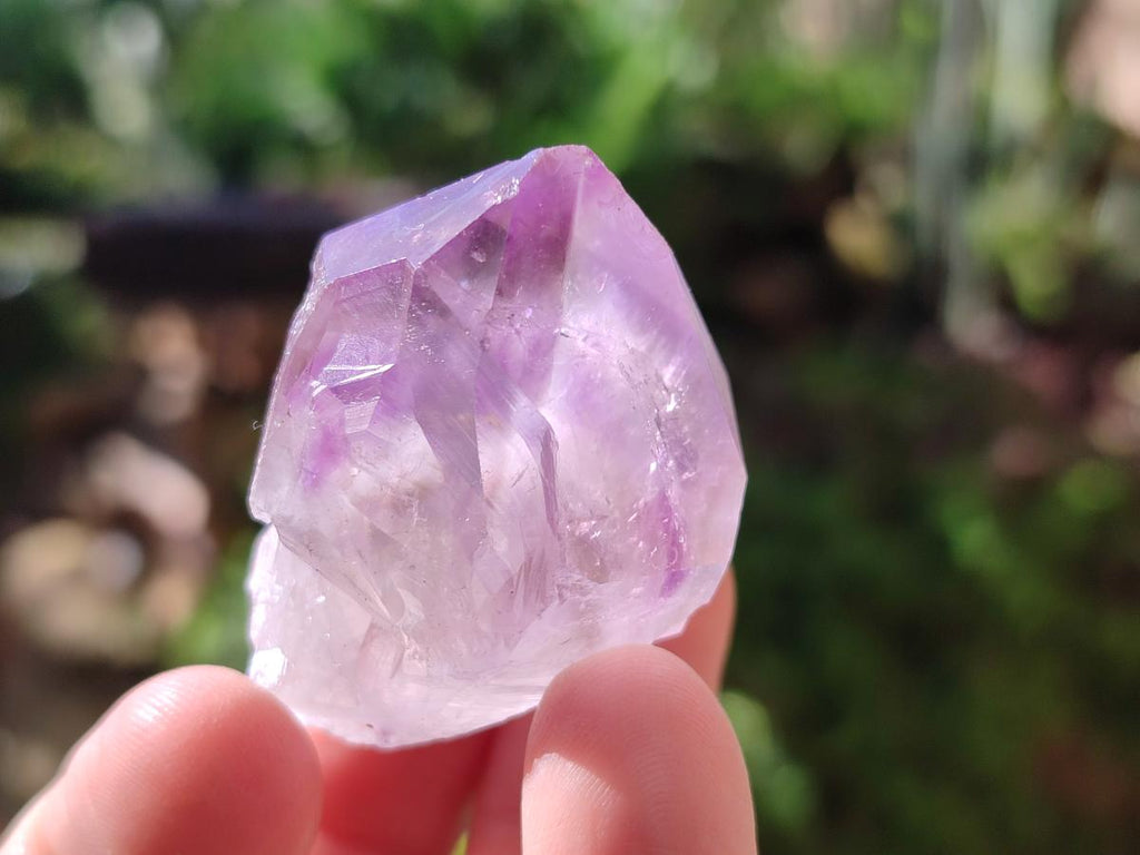 Natural Jacaranda Amethyst Single Crystals x 24 From Mumbwa, Zambia - Toprock Gemstones and Minerals 
