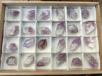 Natural Jacaranda Amethyst Single Crystals x 24 From Mumbwa, Zambia - Toprock Gemstones and Minerals 