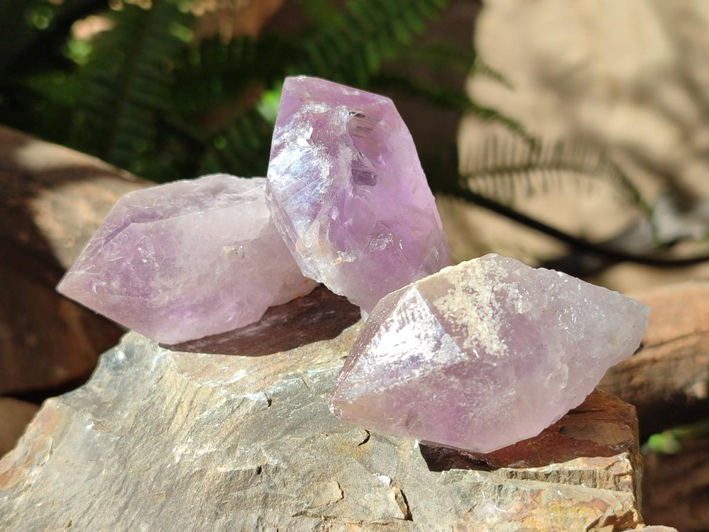 Natural Jacaranda Amethyst Single Crystals x 24 From Mumbwa, Zambia - Toprock Gemstones and Minerals 