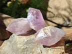 Natural Jacaranda Amethyst Single Crystals x 24 From Mumbwa, Zambia - Toprock Gemstones and Minerals 