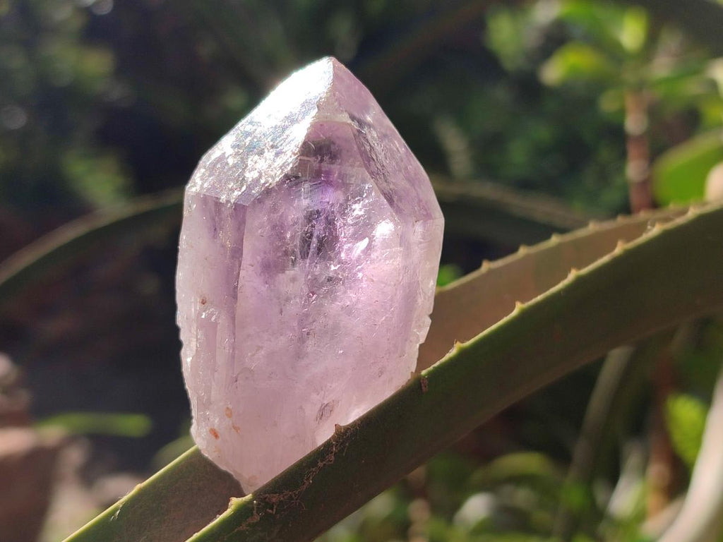 Natural Jacaranda Amethyst Single Crystals x 24 From Mumbwa, Zambia - Toprock Gemstones and Minerals 