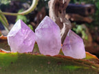 Natural Jacaranda Amethyst Single Crystals x 24 From Mumbwa, Zambia - Toprock Gemstones and Minerals 