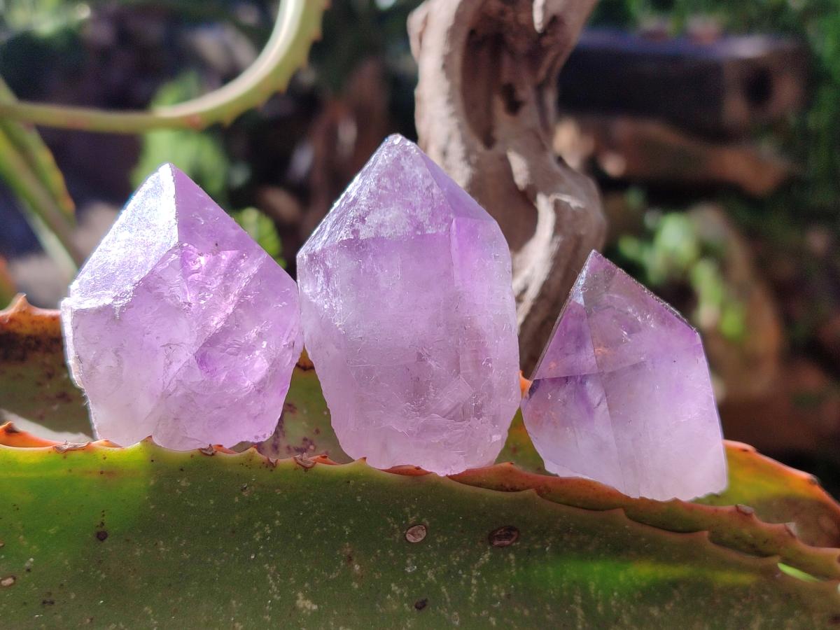 Natural Jacaranda Amethyst Single Crystals x 24 From Mumbwa, Zambia - Toprock Gemstones and Minerals 