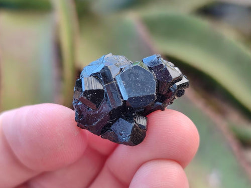 Natural Mini Schorl Black Tourmaline Crystals and Clusters x 71 From Erongo, Namibia