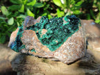 Natural Crystalline Malachite Specimens x 2 From Tenke Fungurume, Congo - Toprock Gemstones and Minerals 