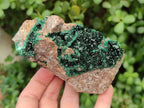 Natural Crystalline Malachite Specimens x 2 From Tenke Fungurume, Congo - Toprock Gemstones and Minerals 