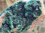 Natural Crystalline Malachite Specimens x 2 From Tenke Fungurume, Congo - Toprock Gemstones and Minerals 