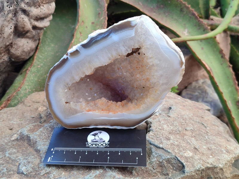 Polished Agate Amethyst Geodes x 3 From Maintirano, Madagascar - Toprock Gemstones and Minerals 
