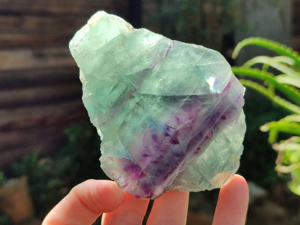 Polished On One Side Watermelon Fluorite Specimens x 6 From Uis, Namibia - Toprock Gemstones and Minerals 