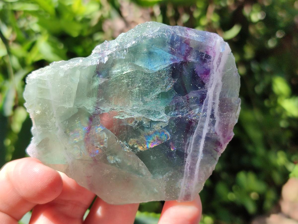 Polished On One Side Watermelon Fluorite Specimens x 6 From Uis, Namibia - Toprock Gemstones and Minerals 