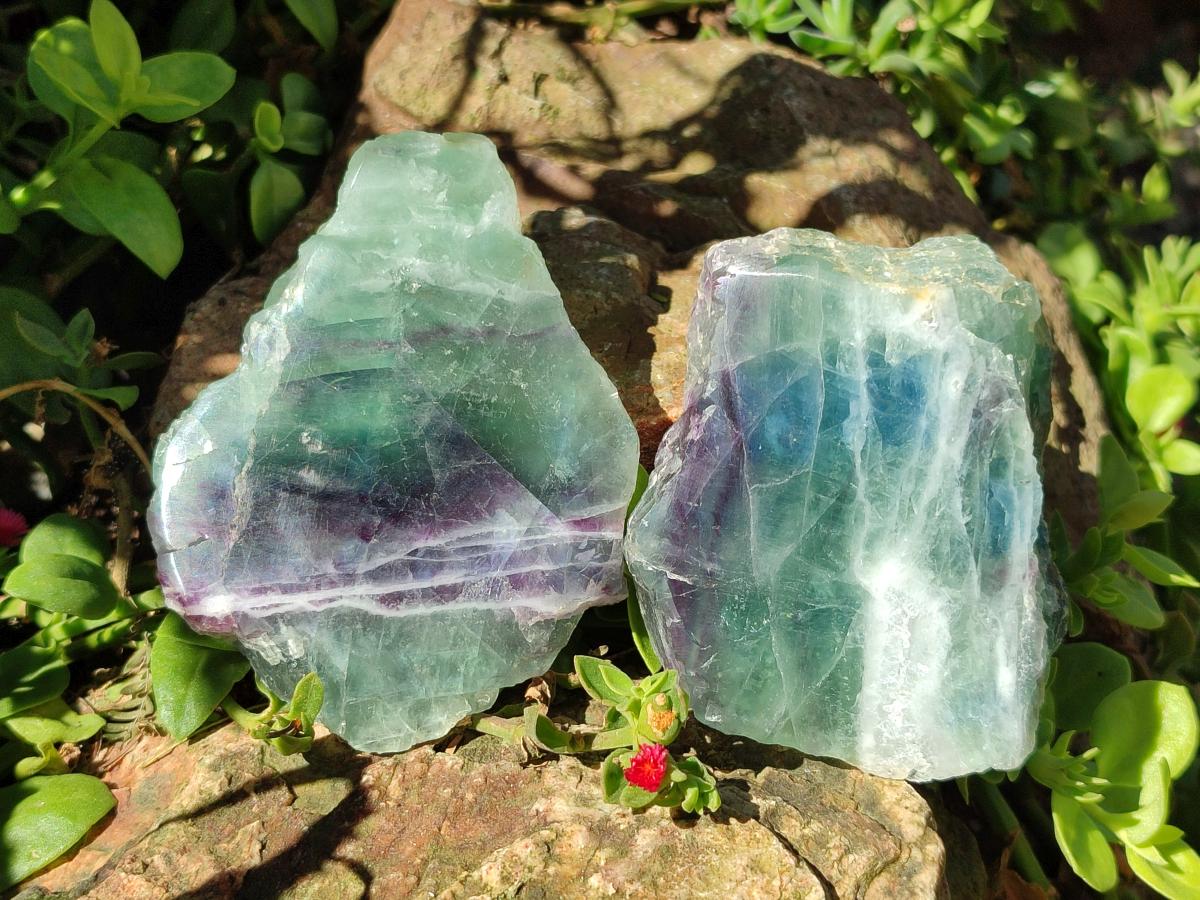 Polished On One Side Watermelon Fluorite Specimens x 6 From Uis, Namibia - Toprock Gemstones and Minerals 