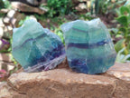 Polished On One Side Watermelon Fluorite Specimens x 6 From Uis, Namibia - Toprock Gemstones and Minerals 