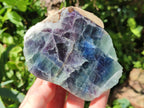 Polished On One Side Watermelon Fluorite Specimens x 6 From Uis, Namibia - Toprock Gemstones and Minerals 