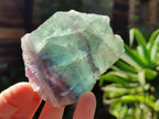 Polished On One Side Watermelon Fluorite Specimens x 6 From Uis, Namibia - Toprock Gemstones and Minerals 