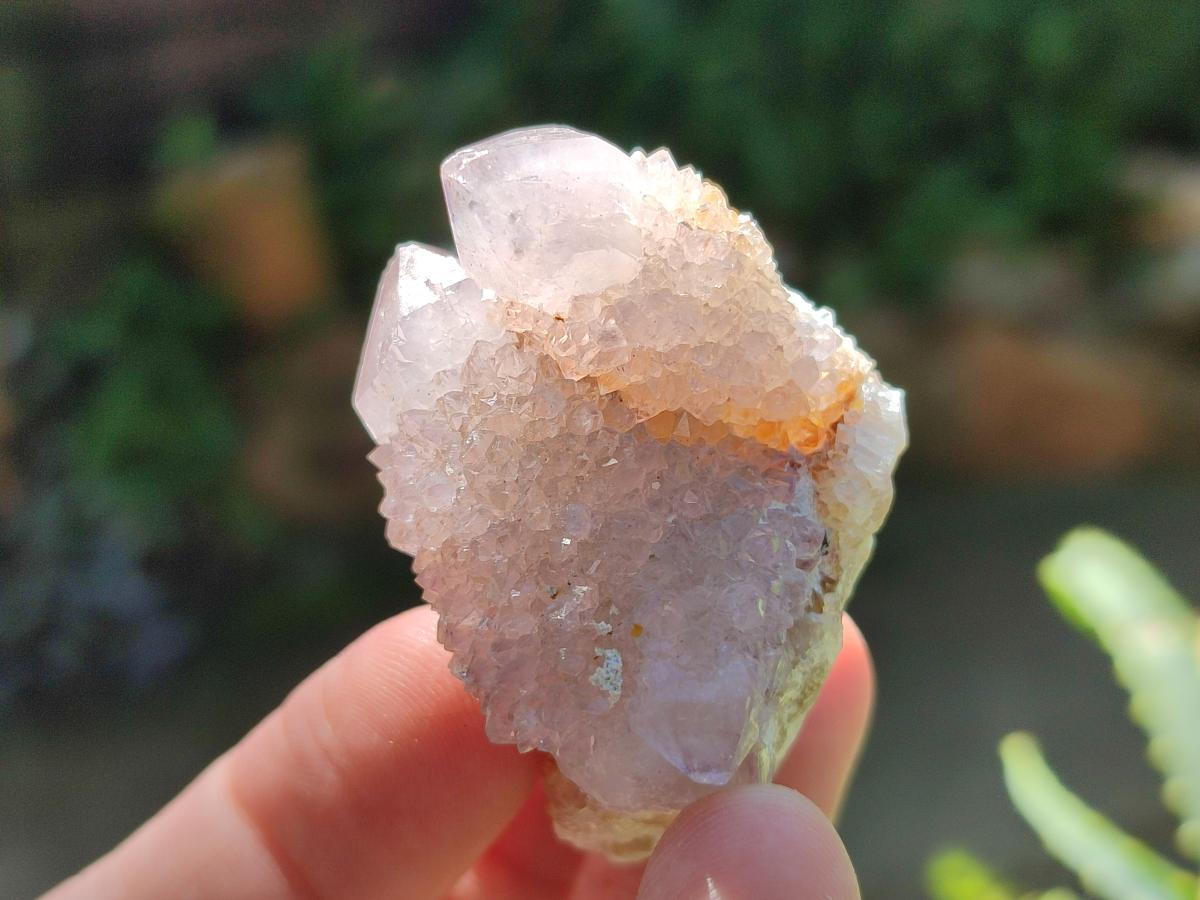 Natural Amethyst Spirit Crystals and Clusters x 20 From Boekenhouthoek, South Africa - Toprock Gemstones and Minerals 