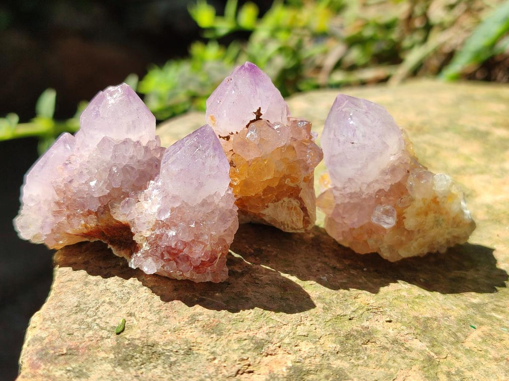 Natural Amethyst Spirit Crystals and Clusters x 20 From Boekenhouthoek, South Africa - Toprock Gemstones and Minerals 