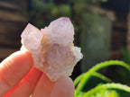 Natural Amethyst Spirit Crystals and Clusters x 20 From Boekenhouthoek, South Africa - Toprock Gemstones and Minerals 