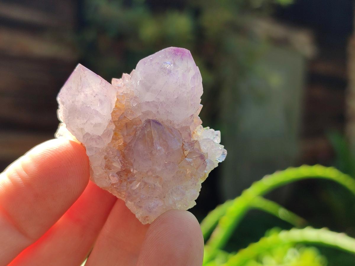 Natural Amethyst Spirit Crystals and Clusters x 20 From Boekenhouthoek, South Africa - Toprock Gemstones and Minerals 