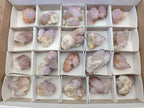 Natural Amethyst Spirit Crystals and Clusters x 20 From Boekenhouthoek, South Africa - Toprock Gemstones and Minerals 