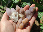 Natural Amethyst Spirit Crystals and Clusters x 20 From Boekenhouthoek, South Africa - Toprock Gemstones and Minerals 