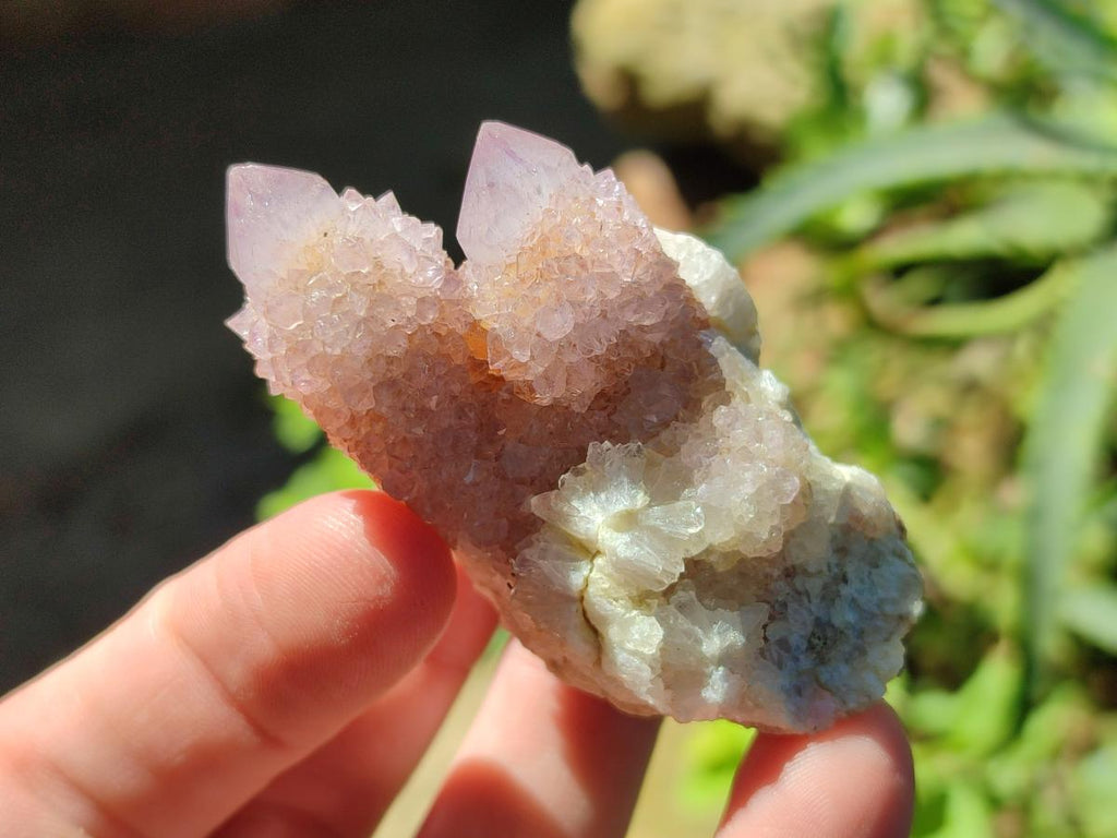 Natural Amethyst Spirit Crystals and Clusters x 20 From Boekenhouthoek, South Africa - Toprock Gemstones and Minerals 