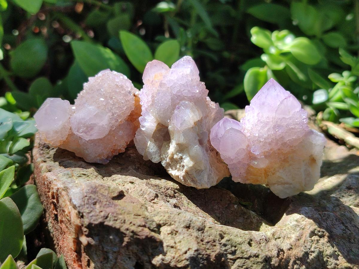 Natural Amethyst Spirit Crystals and Clusters x 20 From Boekenhouthoek, South Africa - Toprock Gemstones and Minerals 