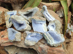 Natural Blue Lace Agate Geode Specimens x 12 From Nsanje, Malawi - Toprock Gemstones and Minerals 