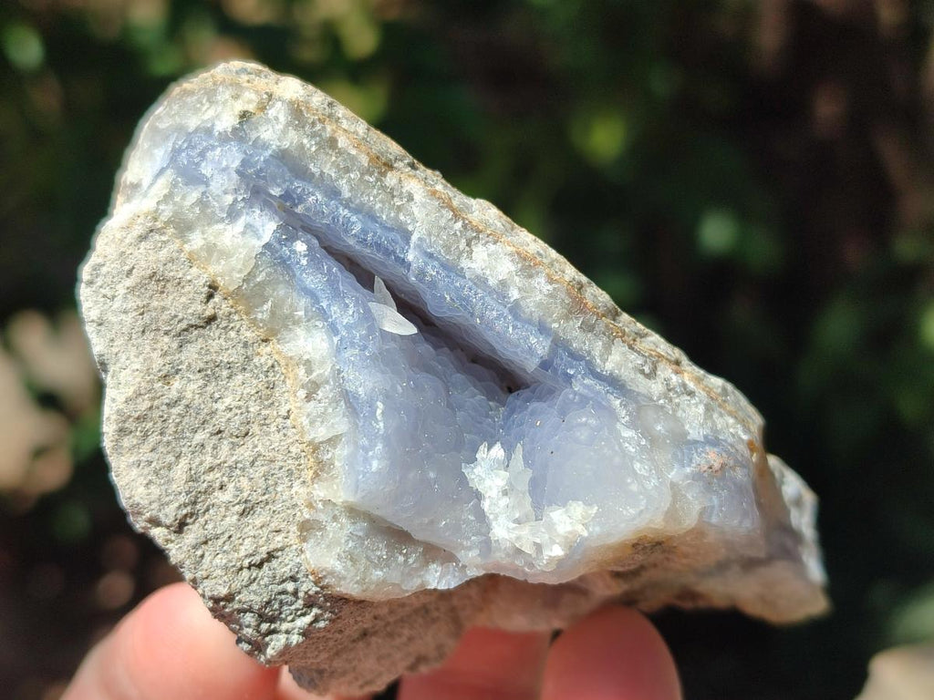 Natural Blue Lace Agate Geode Specimens x 12 From Nsanje, Malawi - Toprock Gemstones and Minerals 