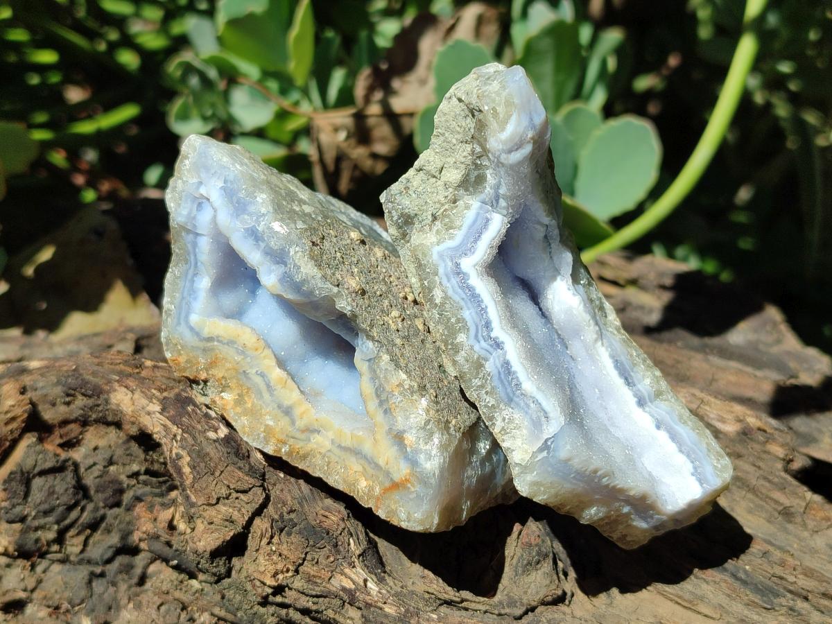 Natural Blue Lace Agate Geode Specimens x 12 From Nsanje, Malawi - Toprock Gemstones and Minerals 