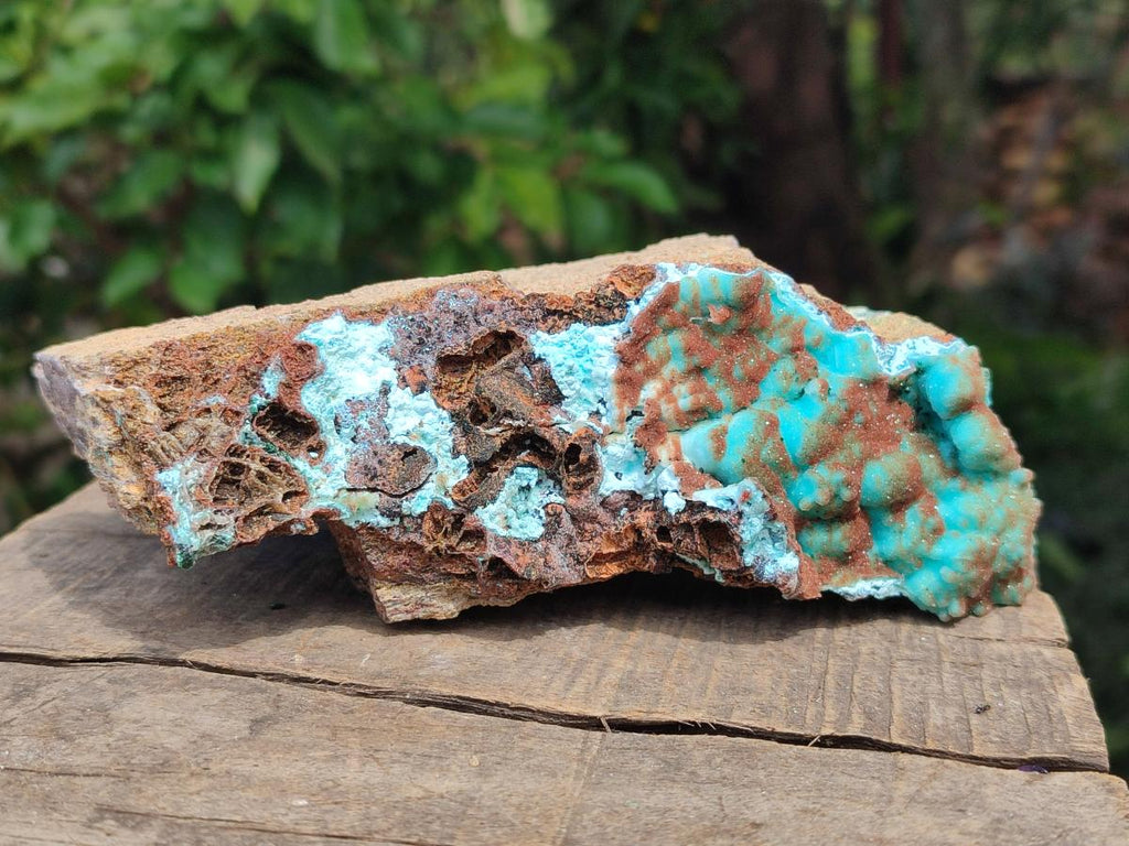 Natural Drusy Coated Chrysocolla with Malachite Specimens x 2 From Lupoto Mine, Congo - Toprock Gemstones and Minerals 