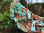 Natural Drusy Coated Chrysocolla with Malachite Specimens x 2 From Lupoto Mine, Congo - Toprock Gemstones and Minerals 