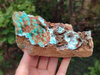 Natural Drusy Coated Chrysocolla with Malachite Specimens x 2 From Lupoto Mine, Congo - Toprock Gemstones and Minerals 